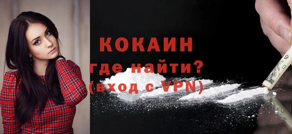 гашик Краснослободск