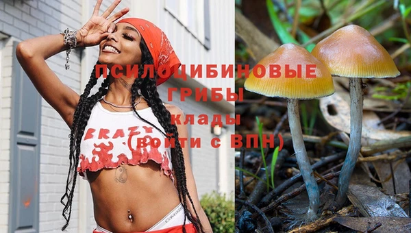 гашик Краснослободск