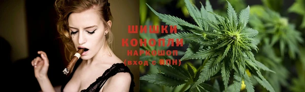 гашик Краснослободск