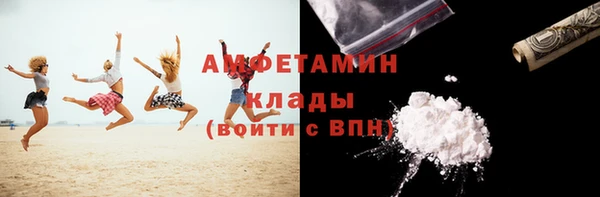 гашик Краснослободск