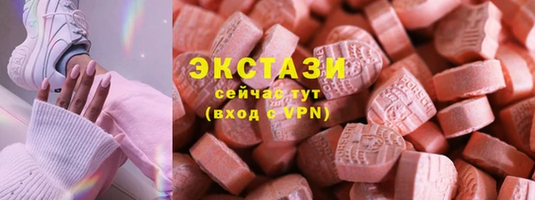 гашик Краснослободск