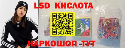 наркотики Кингисепп