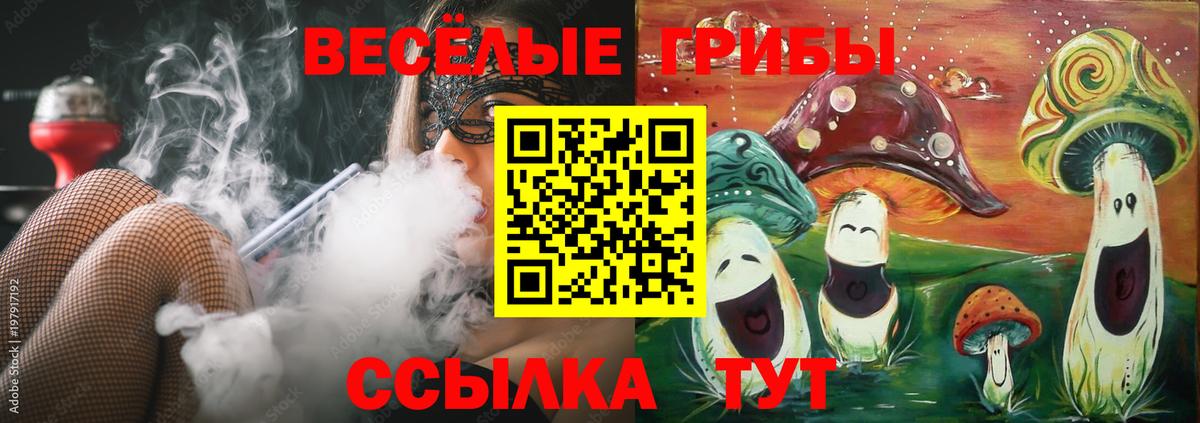 Сызрань  Галлюциногенные грибы Cubensis  цены   Вход с VPN 